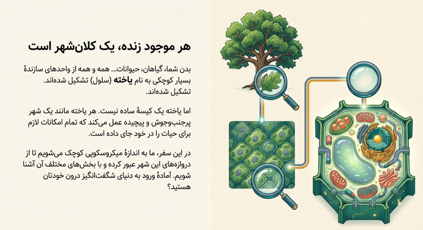 درسنامه فصل 11 علوم هفتم (یاخته و سازمان بندی آن)